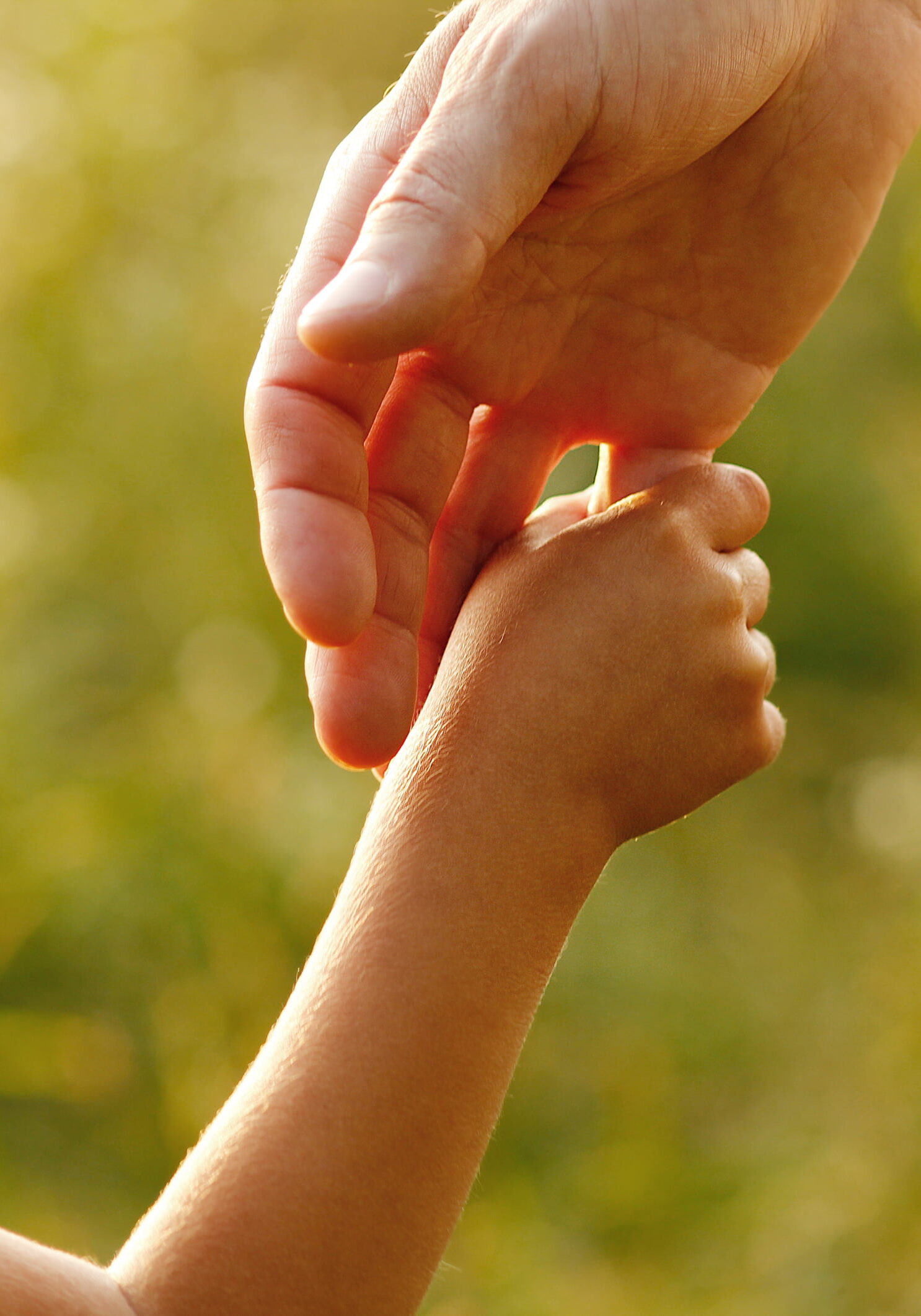 A parent holding the hand of their small child in the grass.